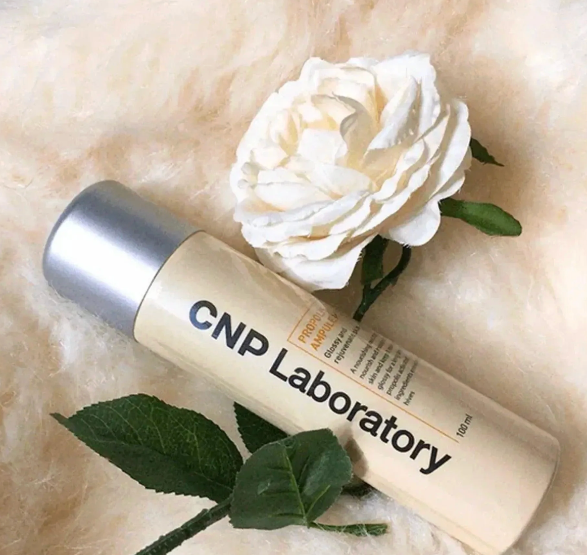 CNP Laboratory - Propolis Energy Ampule Mist 100ml