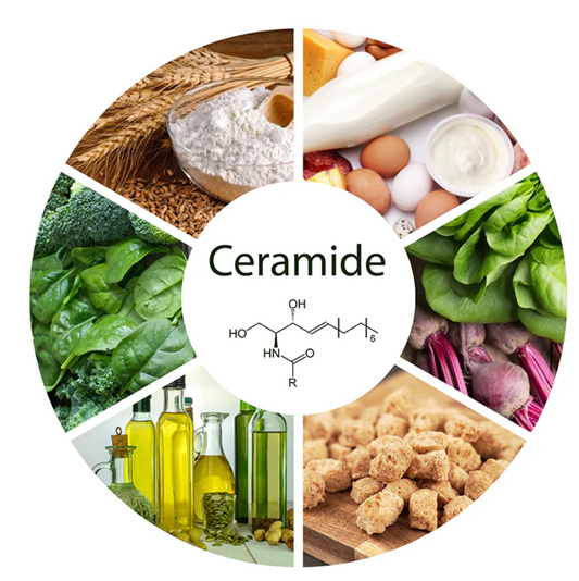 Ceramides: The Skincare Ingredient Your Skin Barrier Needs