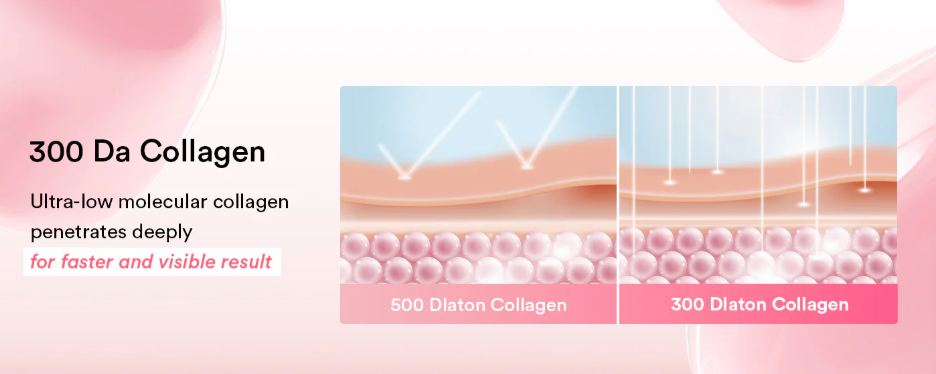 ABIB PDRN Collagen Overnight Mask Firming Jelly 80ml