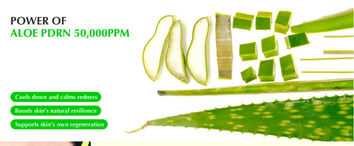 Eqqualberry - Aloe PDRN Calming Serum