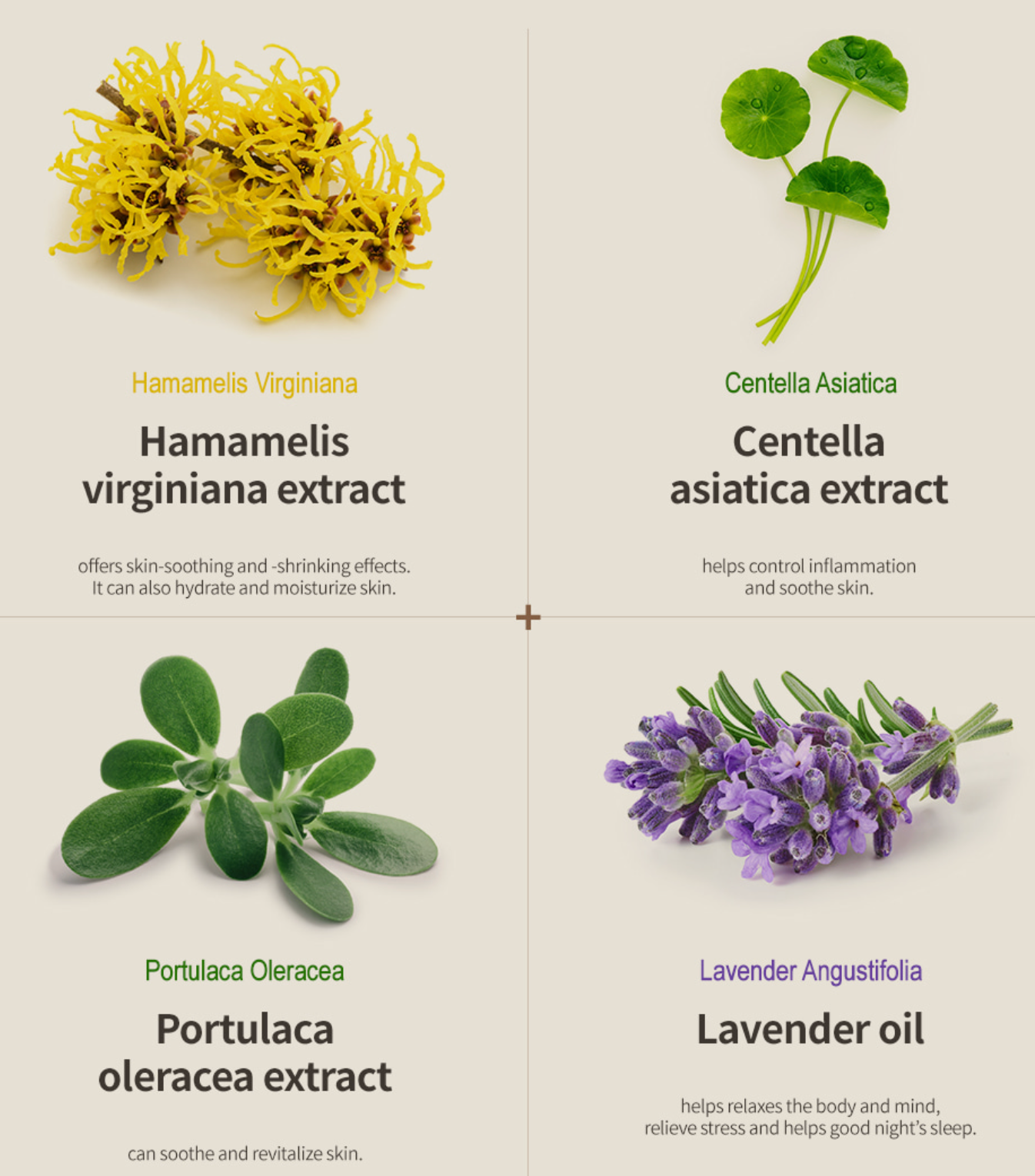 groundplan - Moisture Soothing Mist 100ml (Daily)