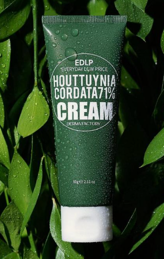 [Derma Factory] Houttuynia Cordata 71% Cream 60g, 120g