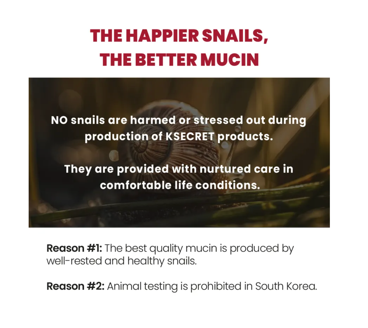 [KSECRET] SEOUL 1988 Cream : Snail Mucin 93% + Rice