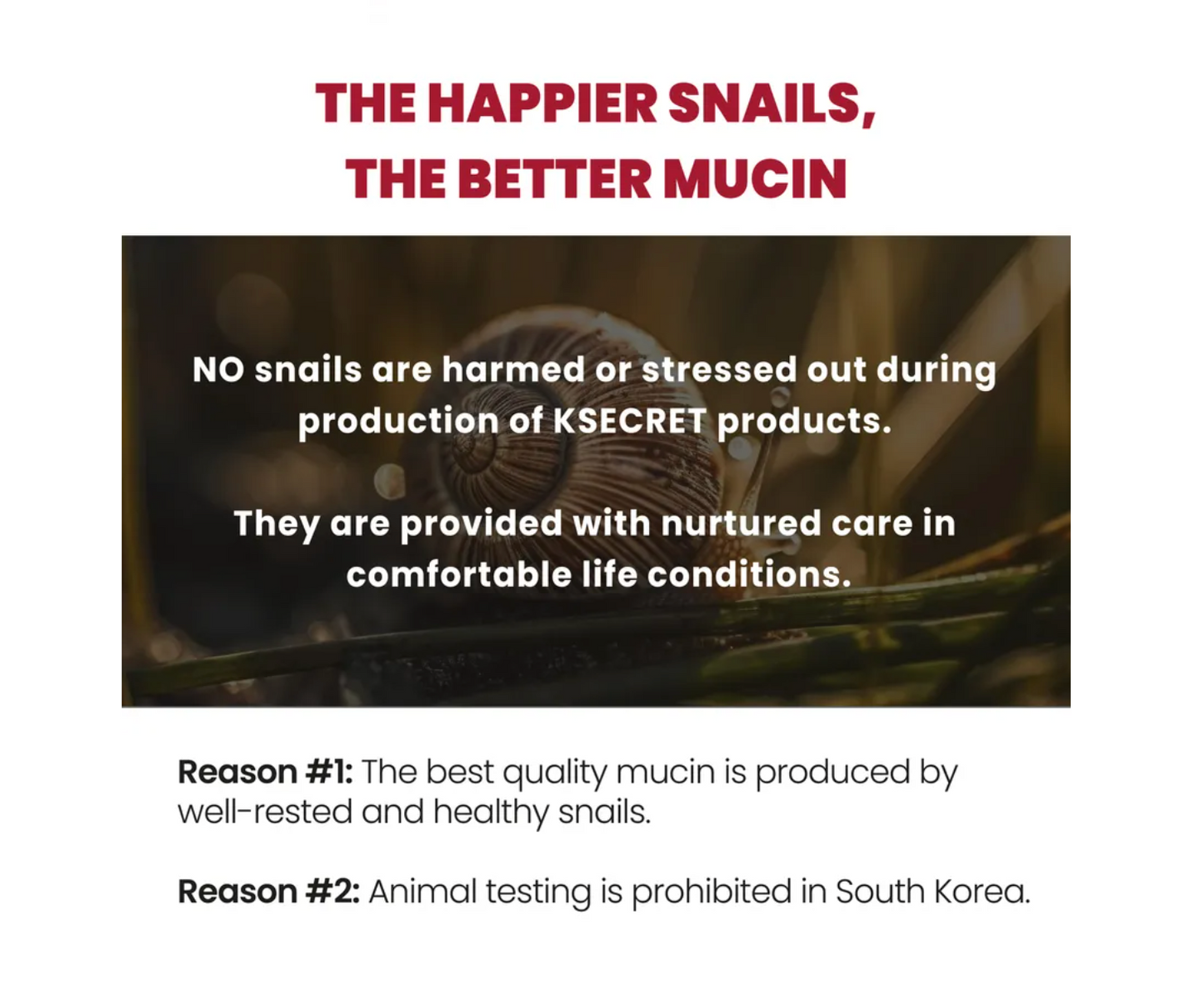 [KSECRET]  Snail Mucin 97% + Rice Essence 100ml