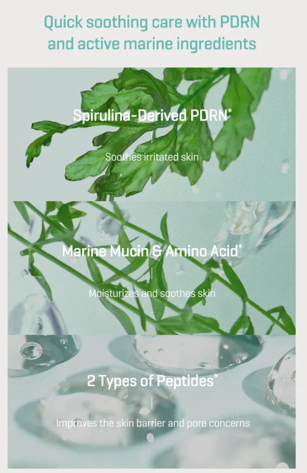 SOME BY MI - PDRN Spirulina Soothing Repair Serum 50ml