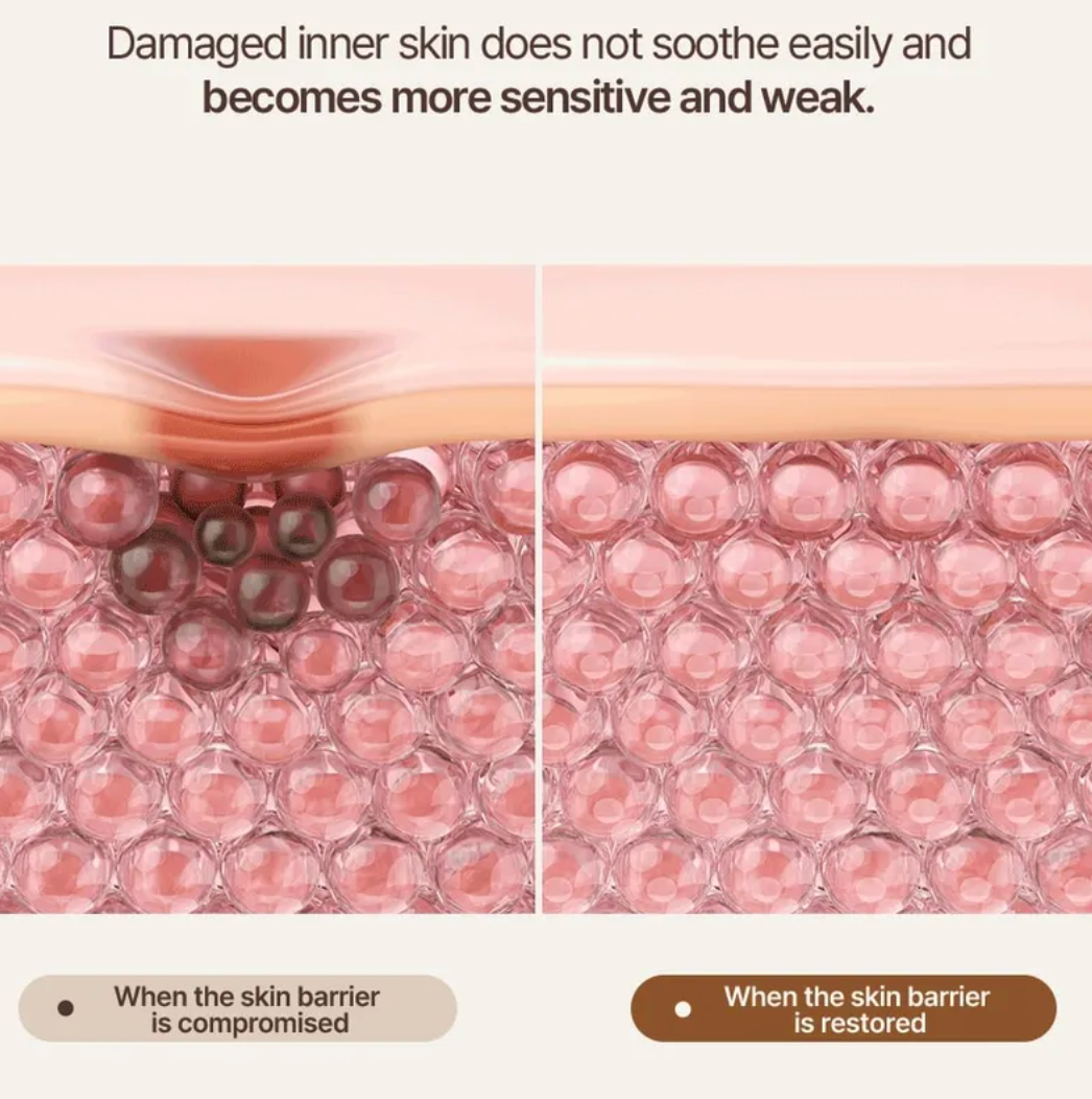 HEVEBLUE - Salmon Caring Newpair PDRN Booster 100,000 Shot Essence 1pc Set