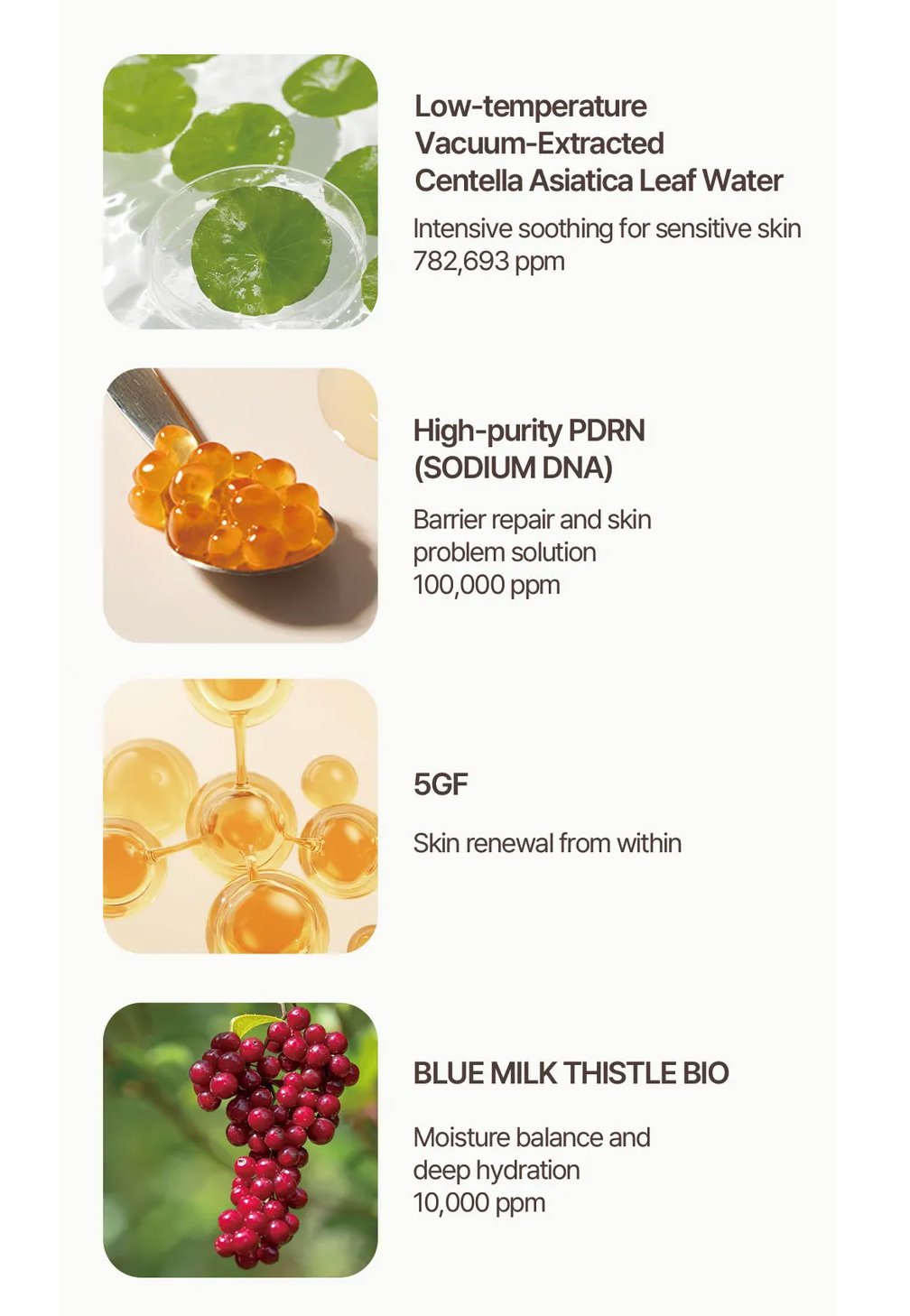 HEVEBLUE - Salmon Caring Newpair PDRN Booster 100,000 Shot Essence 1pc Set