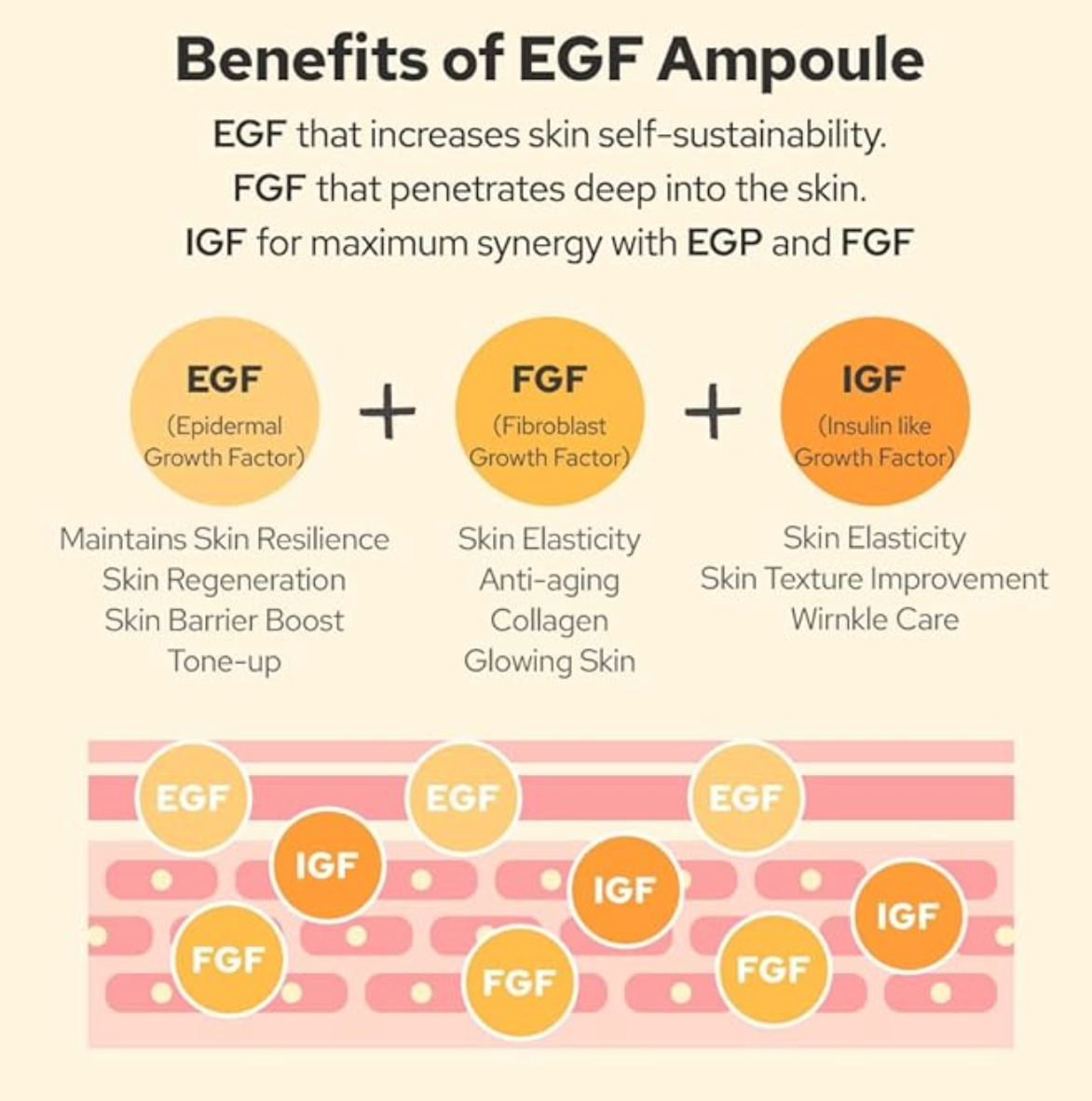 De:Maf -EGF Peptide Ampoule