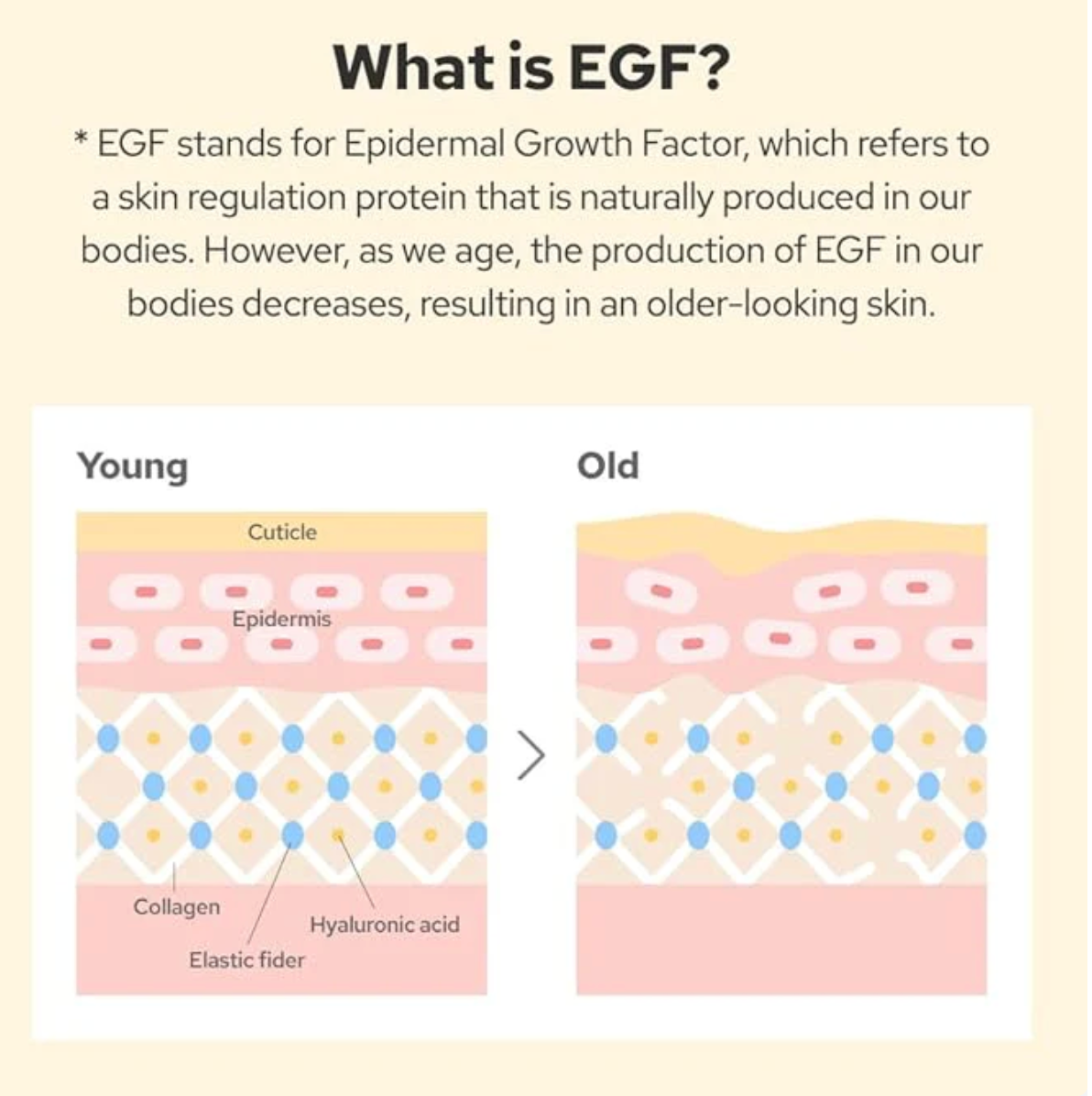 De:Maf -EGF Peptide Ampoule