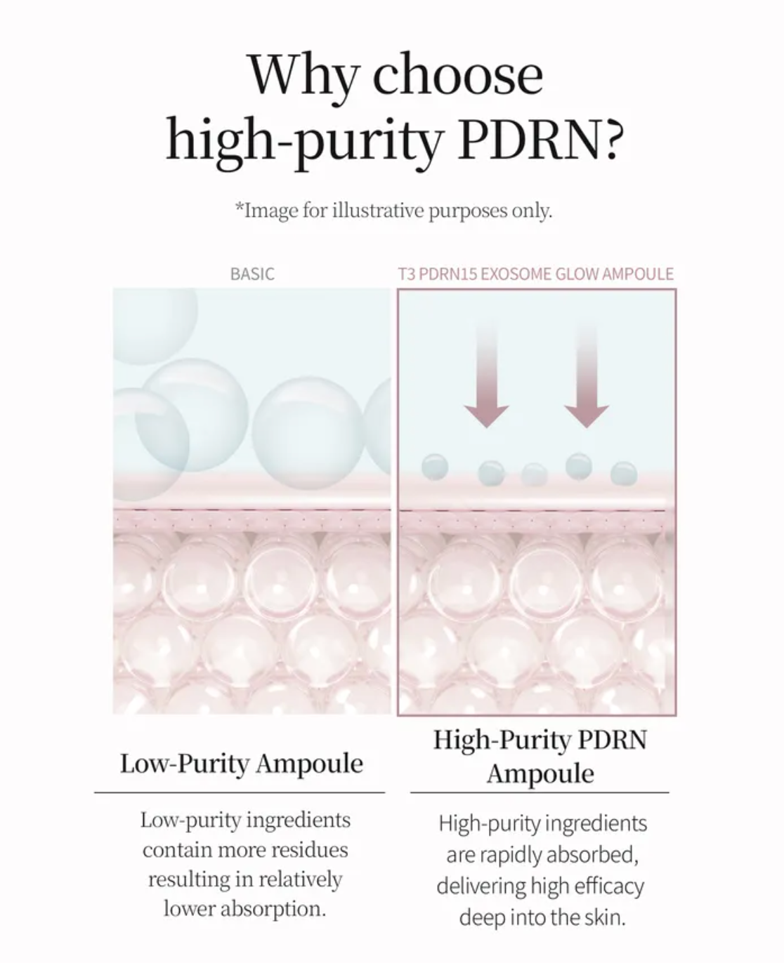 Pestlo - PDRN 15 Exosome glow Ampoule