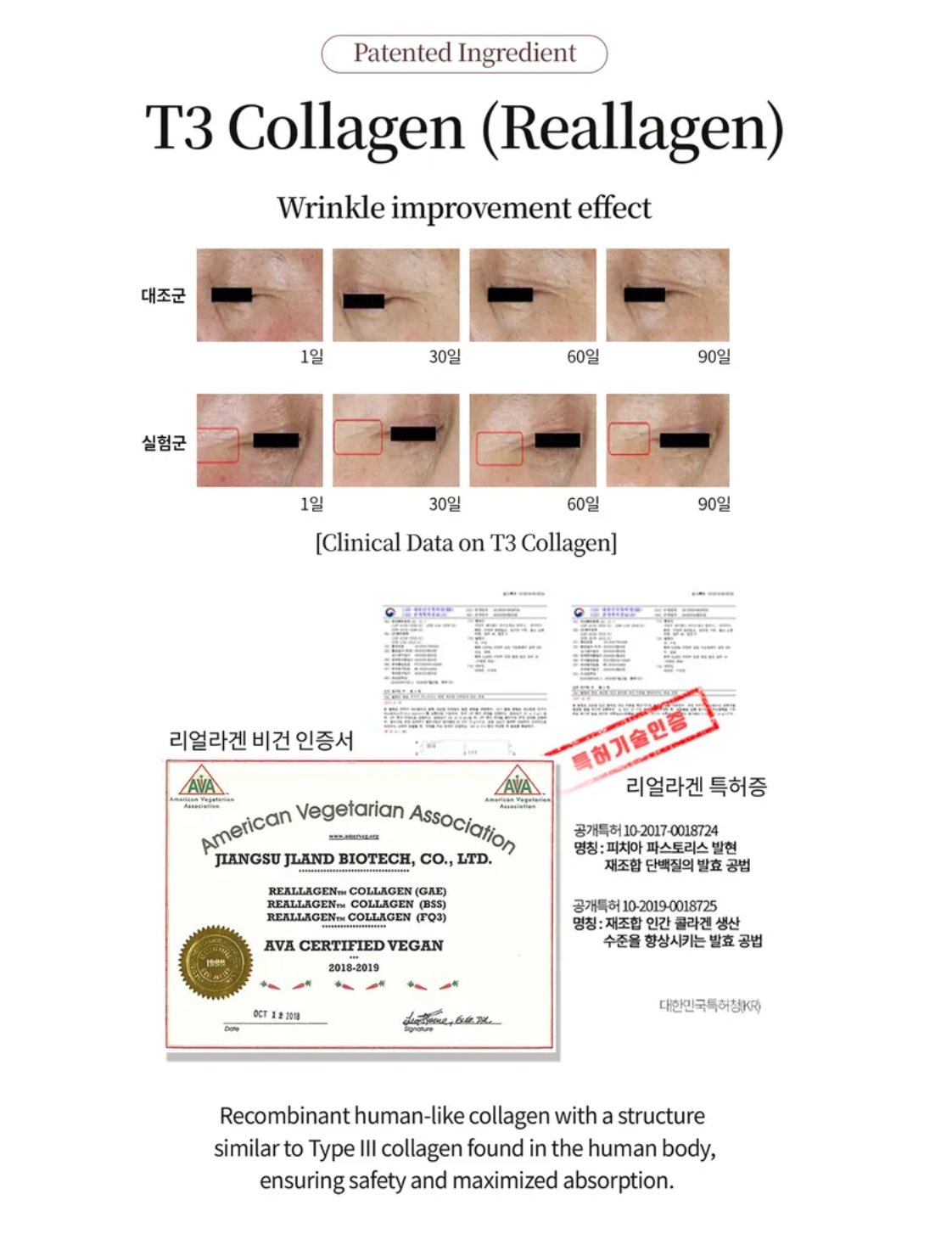 Pestlo - PDRN 15 Exosome glow Ampoule