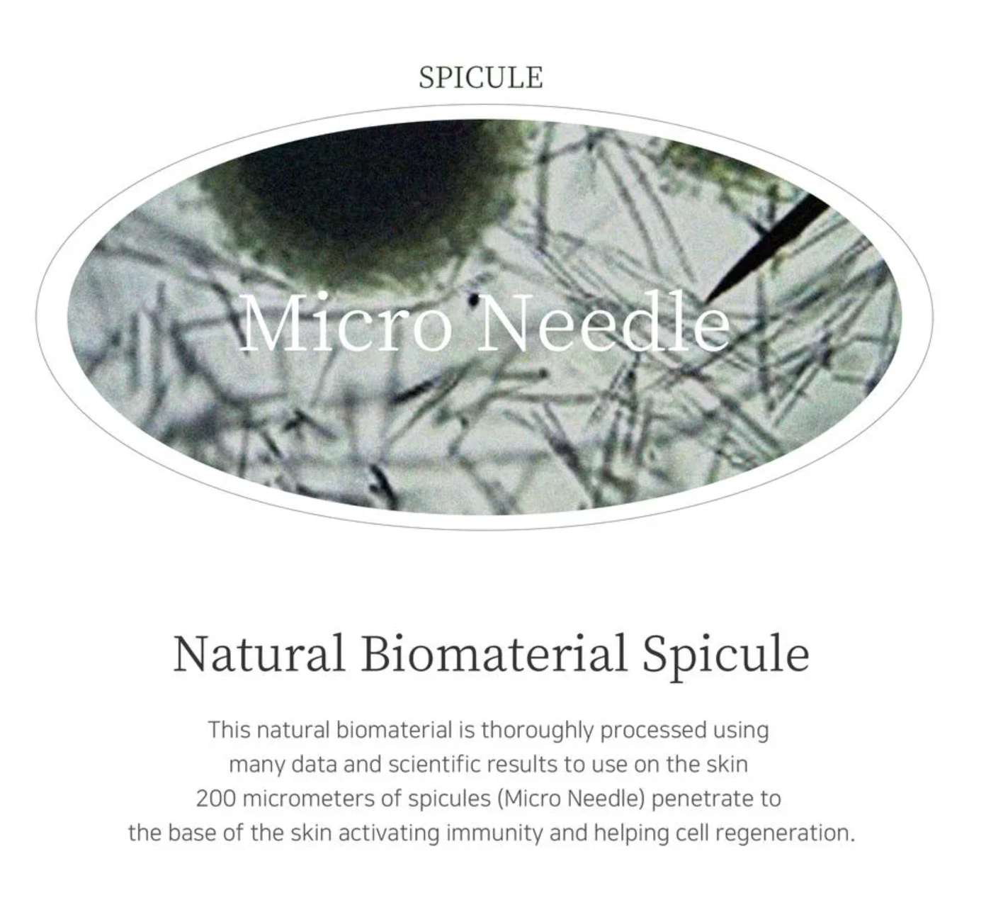 Pestlo - Spicule Re-Born Peeling Mask 120g