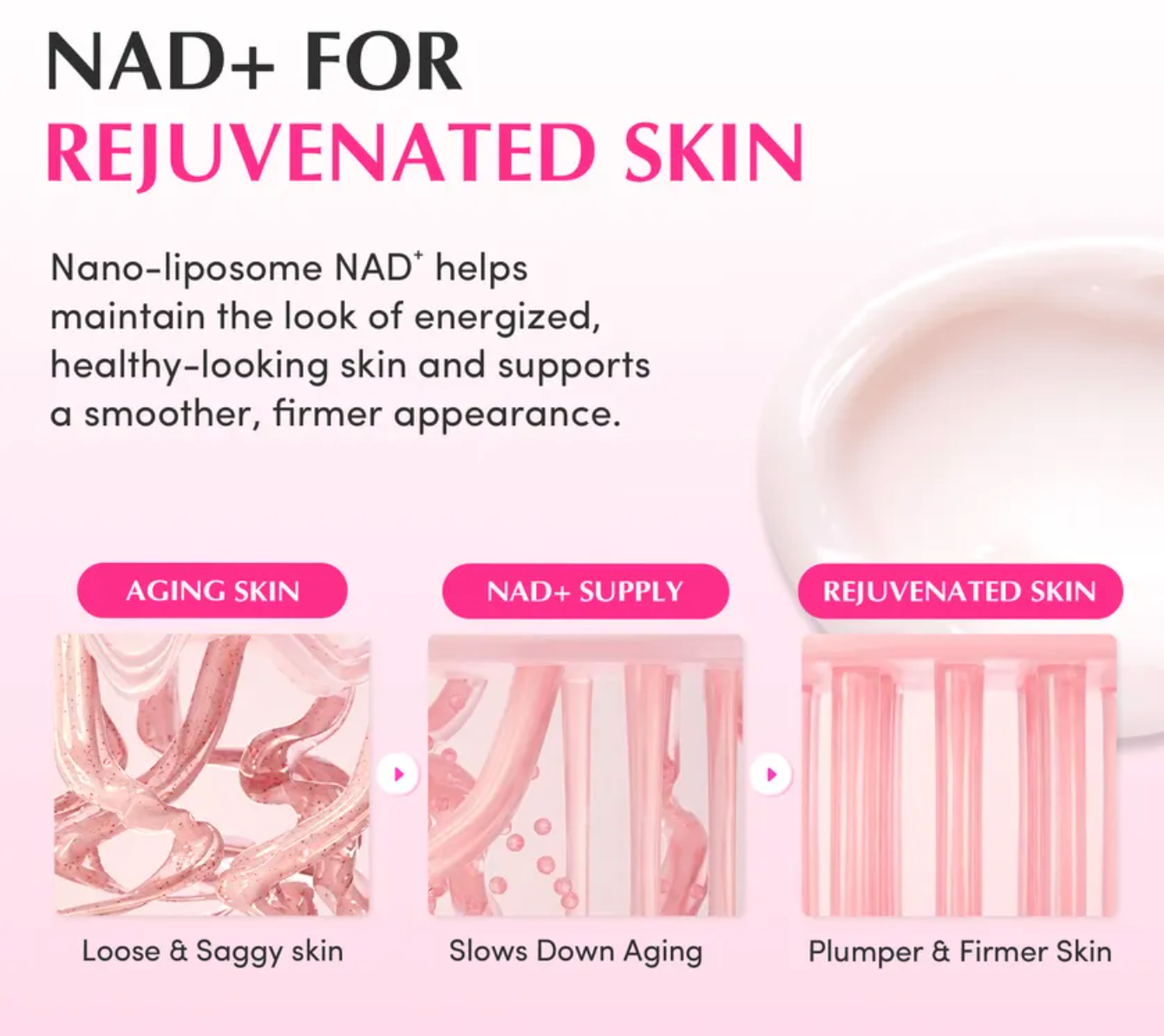 EQQUALBERRY - NAD+ Peptide Boosting Cream 50ml