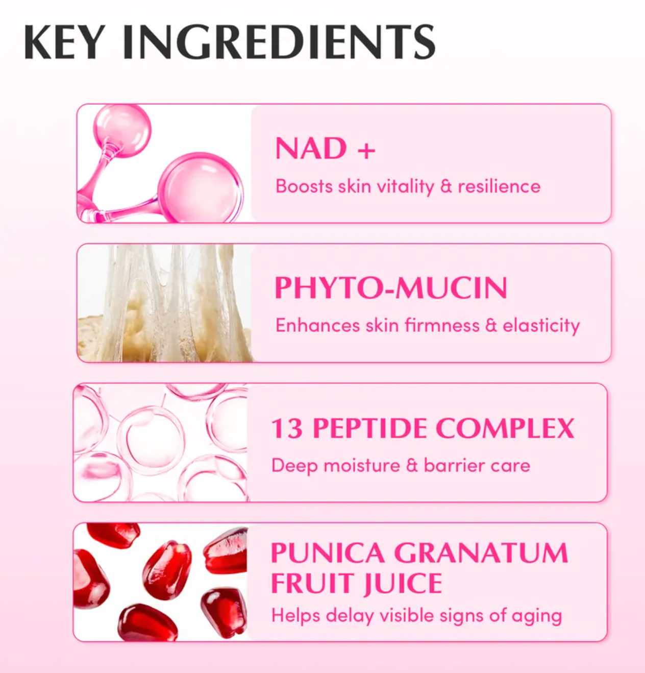 EQQUALBERRY - NAD+ Peptide Boosting Cream 50ml