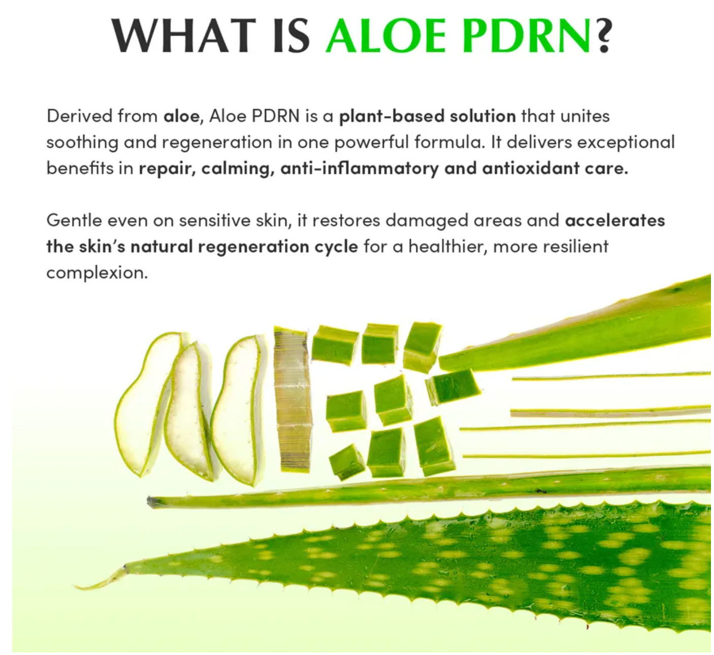 EQQUALBERRY - Aloe PDRN Calming Toner