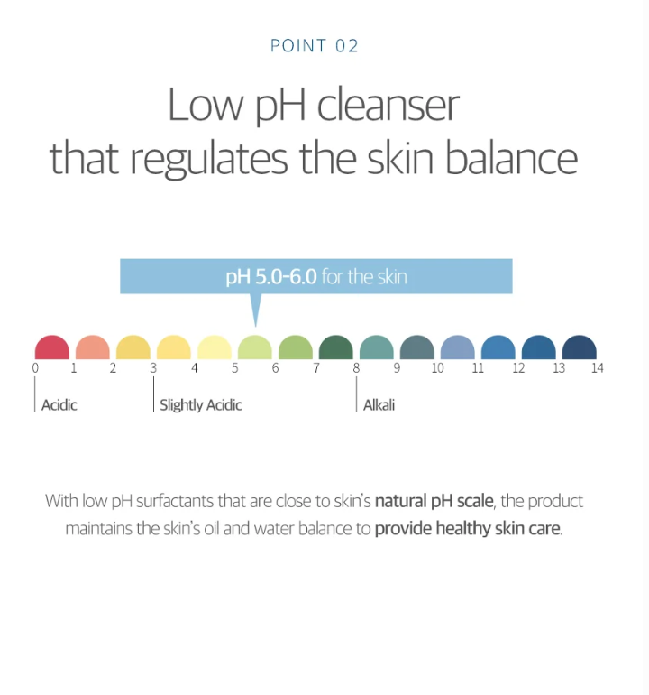 Round Lab - Birch Juice Moisturising Cleanser 30ml (mini)