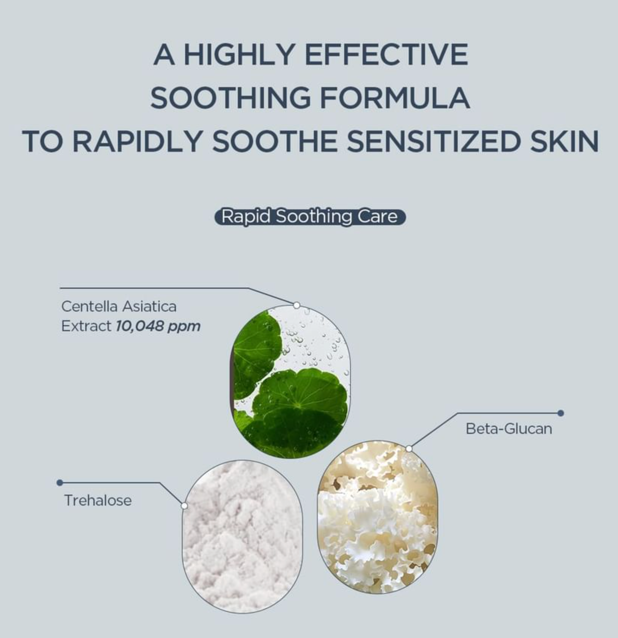 SKIN1004 - Madagascar Centella Hyalu-Teca Plumping Ampoule