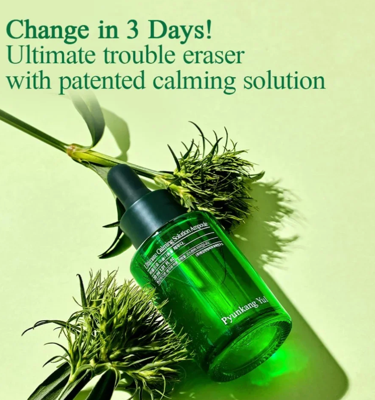 Pyunkang Yul - Ultimate Calming Solution Ampoule 1.01 fl oz / 30ml