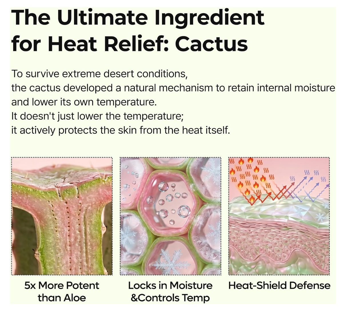 Dr.Melaxin CACTOX Multi Balm