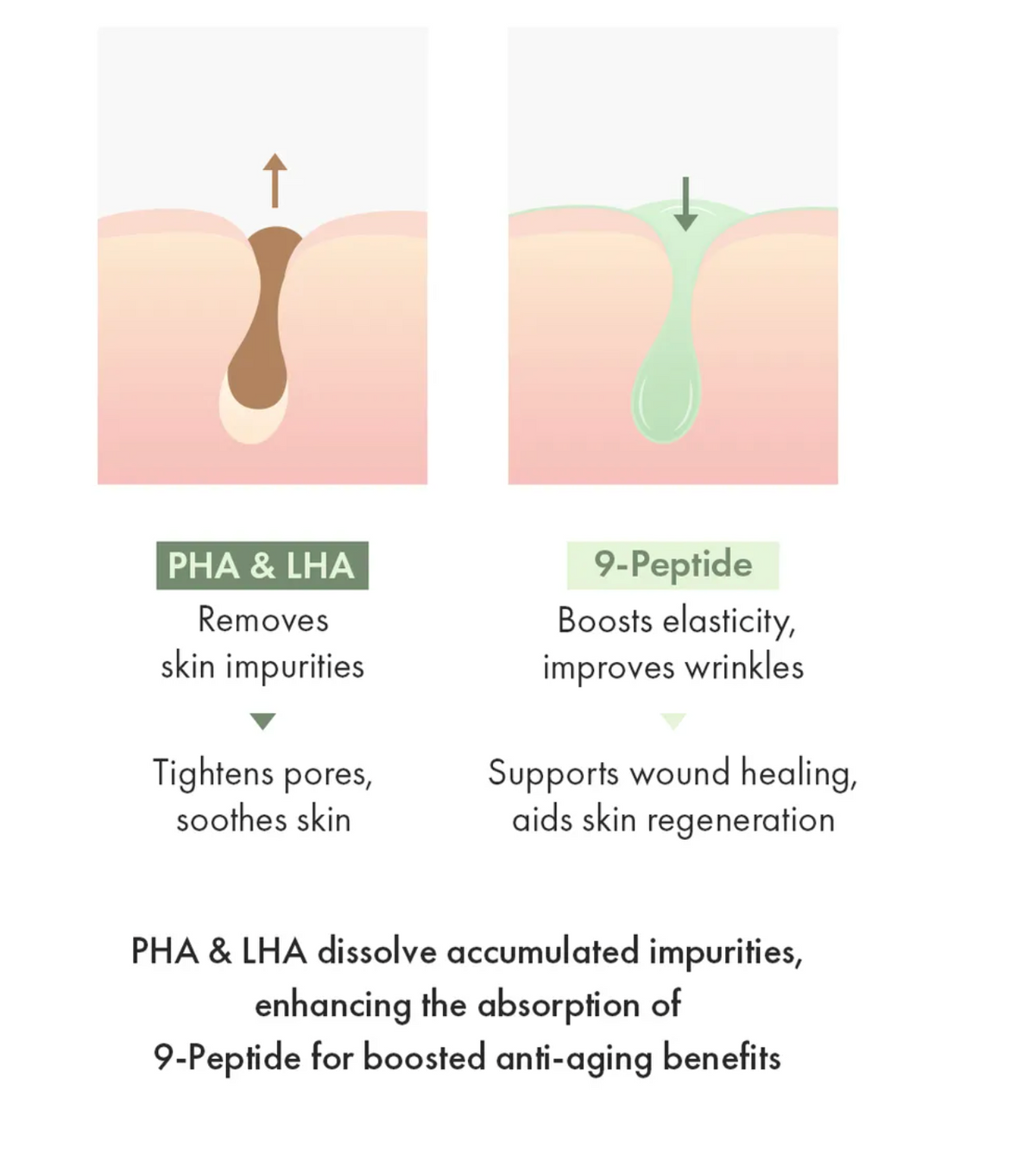 Dr. Ceuracle - Jeju Matcha Tea Essence