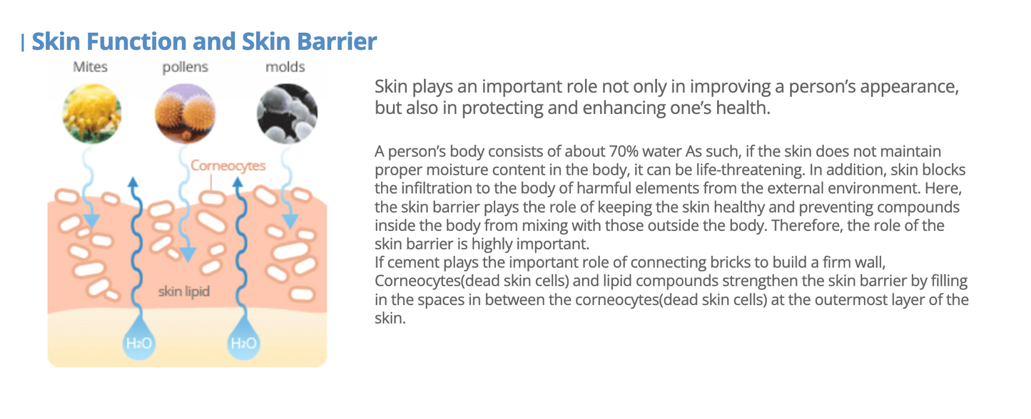 [ZEROID] Intensive Cream 80ml