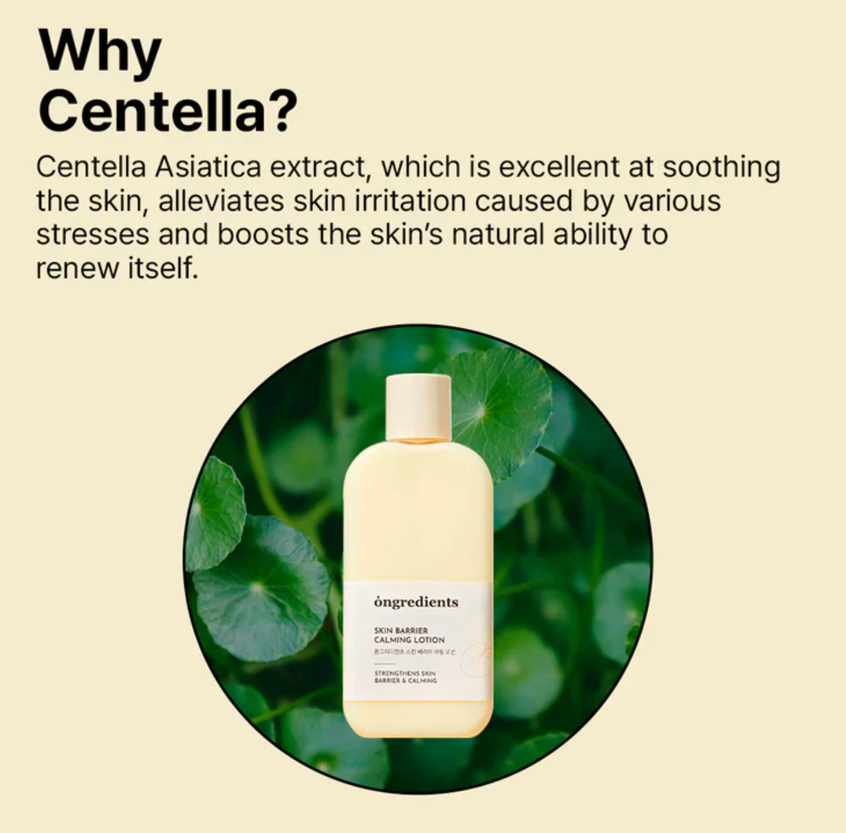 Ongredient - Skin Barrier Calming Lotion 220ml